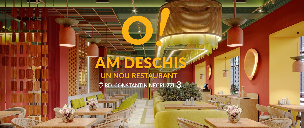 Negruzzi